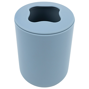 Light Blue Toothbrush Organizer