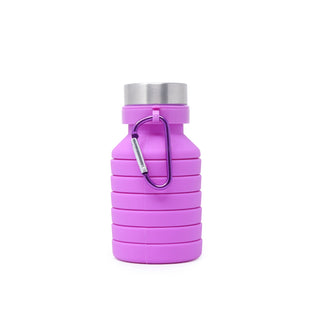 Lilac Expandable Sports Water Bottle