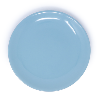 Blue Food Plate