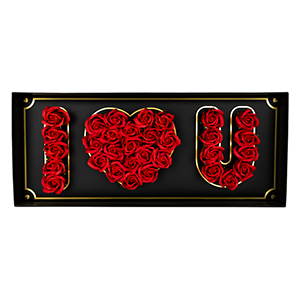 "I Love You" Red Rose Gift