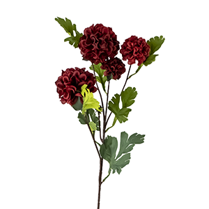 Red Chrysanthemum Flower