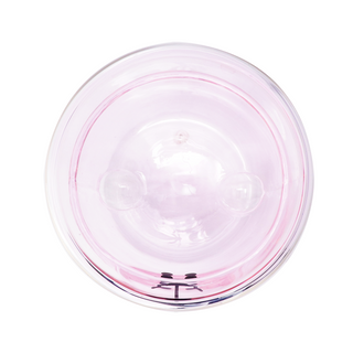 Pink Bear Crystal Glass