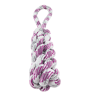 Purple Rope Pet Toy