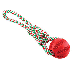 Red Ball & Rope Pet Toy