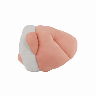 Cozy Tangerine Pet Bed