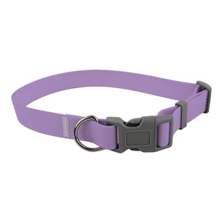 Purple Collar