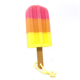 SPONGE POPSICLE CUP BRUSH