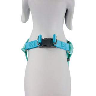 Blue Pet Harness