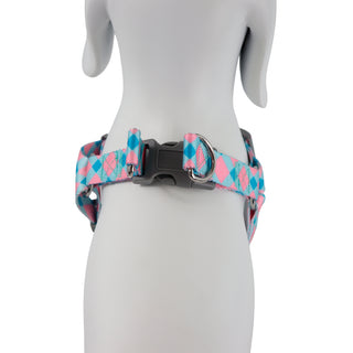 Blue & Pink Harness