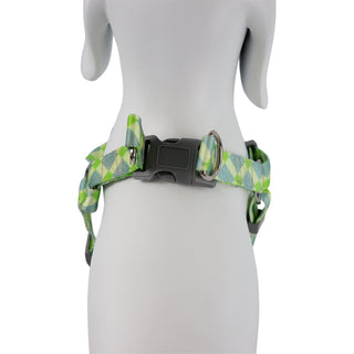 Green & Yellow Harness