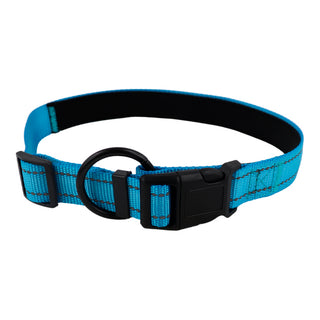 Blue Reflective Collar