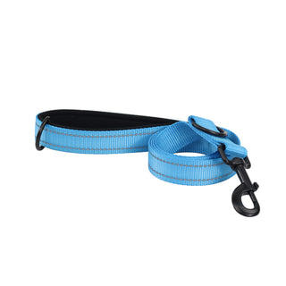 Light Blue Reflective Leash