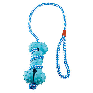 Blue Rope Pet Toy