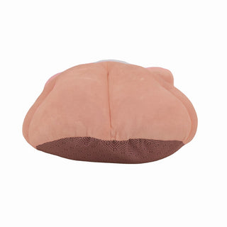 Cozy Tangerine Pet Bed